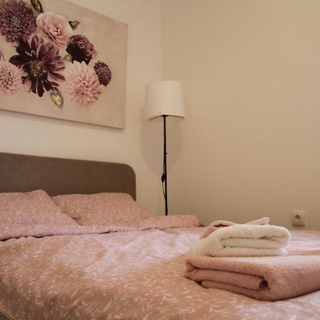 Apartment Sophie 诺威萨 外观 照片